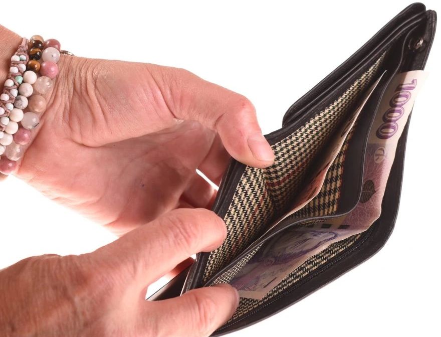 2) 839-8_panska-kozena-cerna-penezenka-742212_2